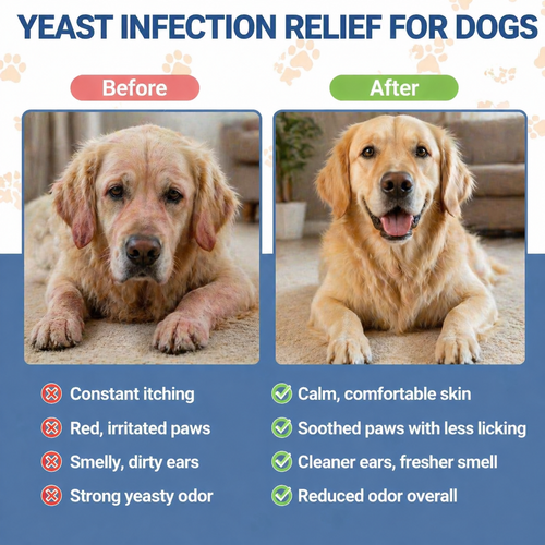 CurePaw Soothing Allergy & Yeast Treatment